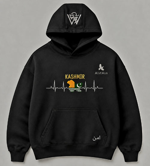 AlifAin Peace Azad Kashmir heavyweight hoodie, back print