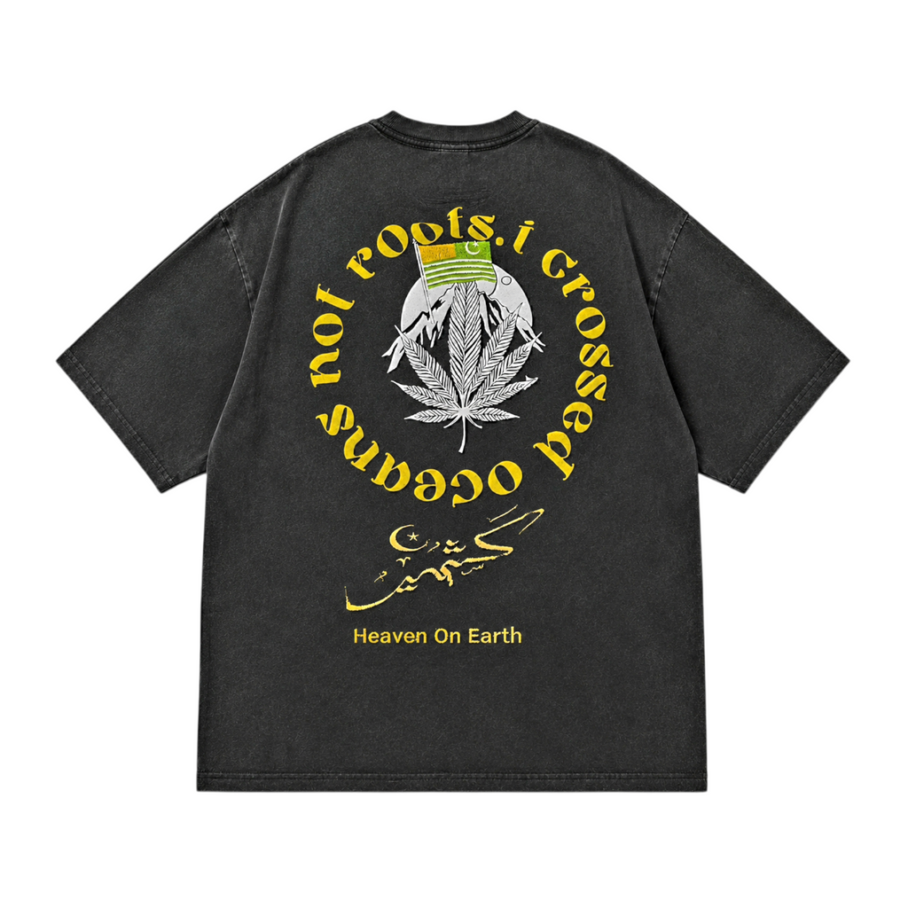 AlifAin Roots stone wash tee, back print detail