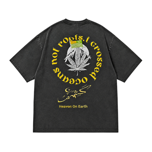 AlifAin Roots stone wash tee, back print detail