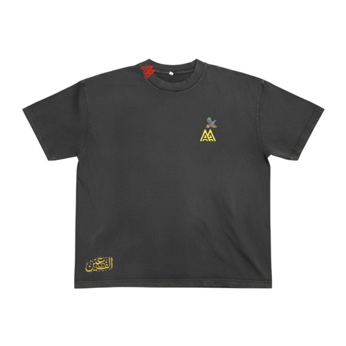AlifAin Roots stone wash tee, front view
