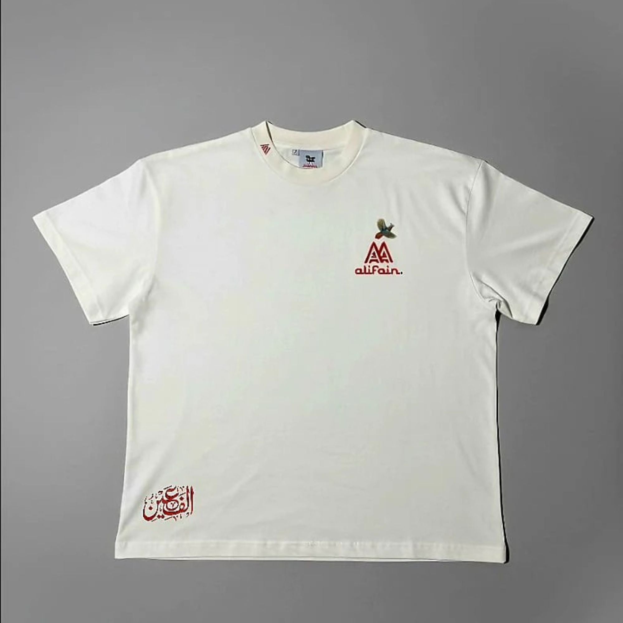 Kashmir Heritage 250 GSM Oversized T-Shirt